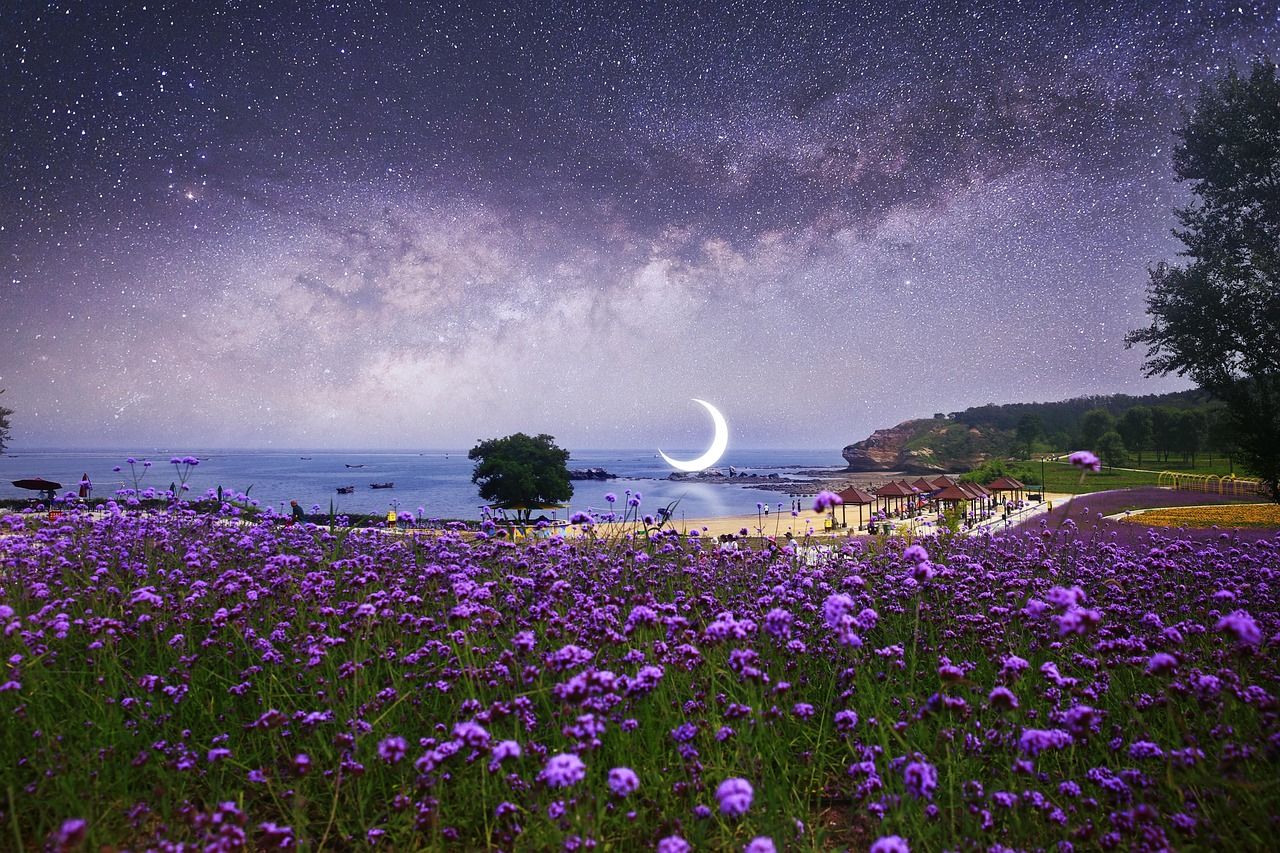 星空MV、梦幻MV、天美MV、糖心MV、蓝莓17c，那些年我们追过的视觉盛宴