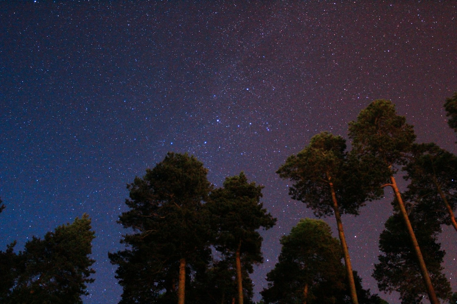神印王座在线观看免费完整观看星空影院，我找到的追剧宝藏地