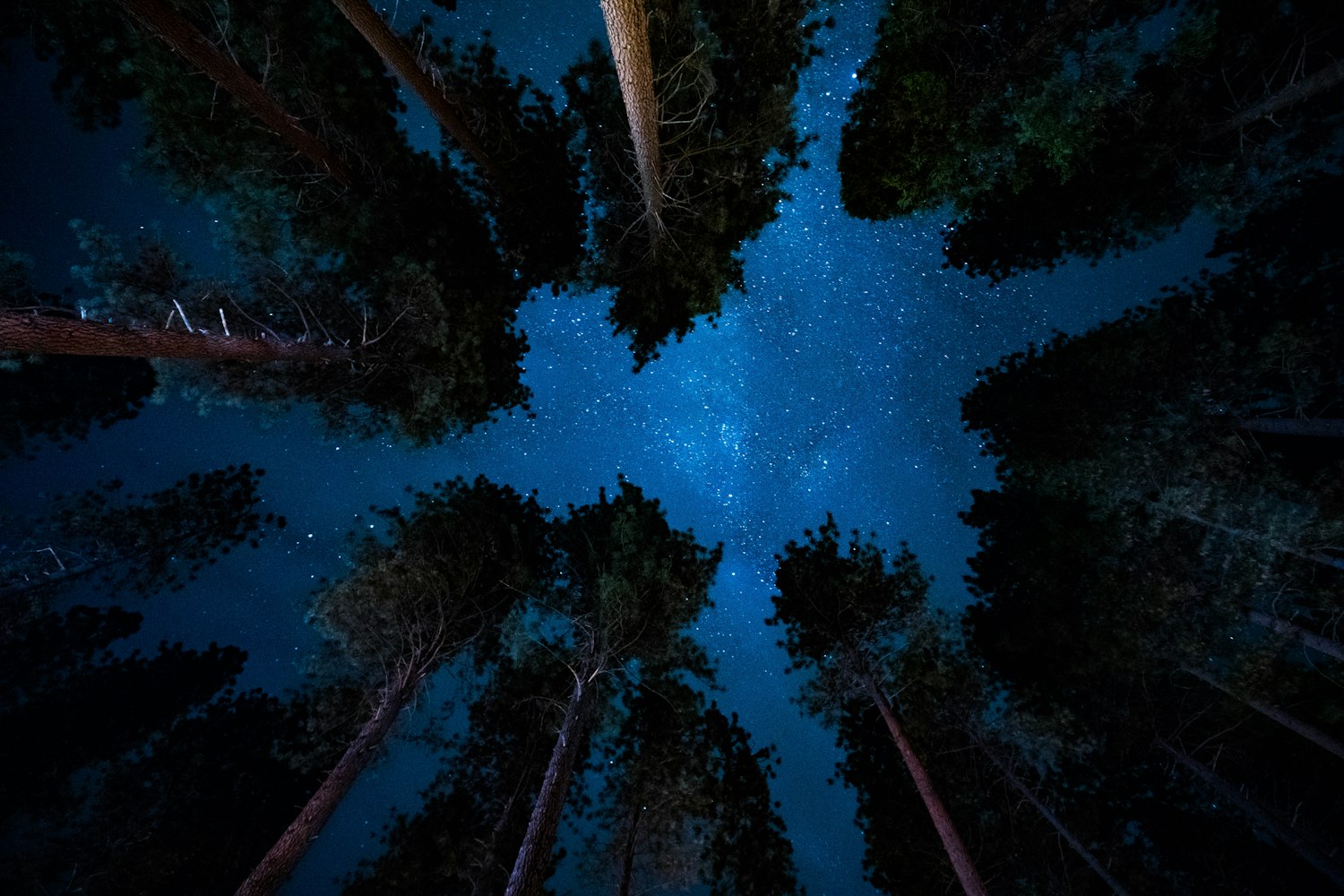 星空影院大全在线观看免费观看，我挖到的那些宝藏观影地，全部分享给你