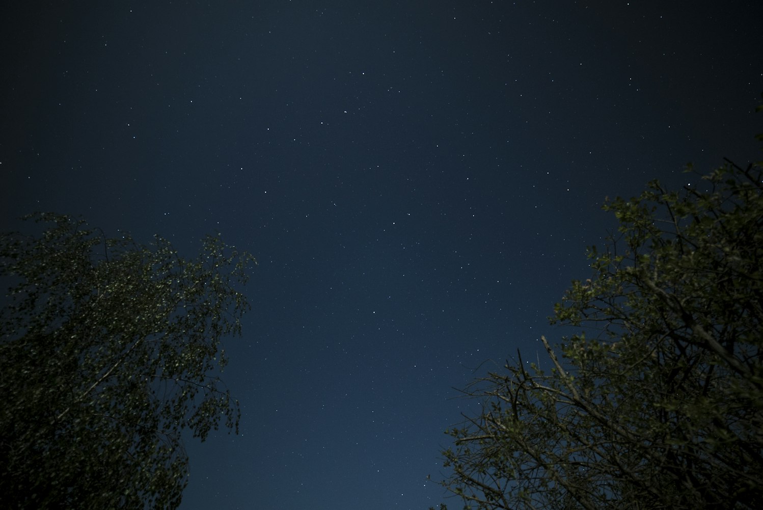 把星空请进卧室，一盏星空灯，满天花瓣般的温柔